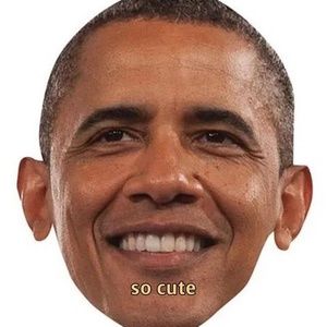 Meet your Posher, Connor